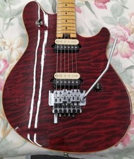 Peavey evh wolfgang usato  Spedire a Italy
