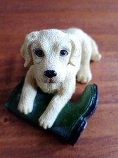 Labrador awaiting master for sale  STAFFORD