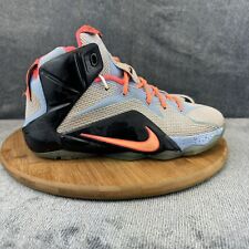 Nike boys lebron for sale  Fairview