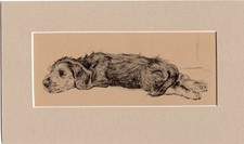 Cecil aldin dandie for sale  UK