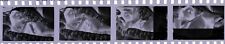 Set 35mm original d'occasion  Limours