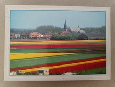 Alte ansichtskarte niederlande gebraucht kaufen  Tutzing