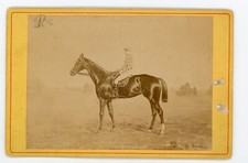 Photo cabinet .1881 d'occasion  Avignon