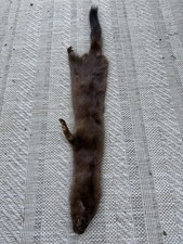 Wild mink skin for sale  Shreve