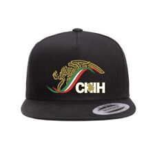 Chihuahua mexico snapback d'occasion  Expédié en Belgium