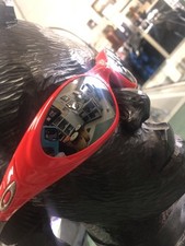 Awesome oakley eye for sale  Grand Rapids