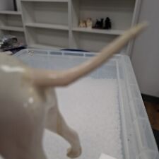 Large beswick pure for sale  BRISTOL