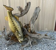 Vintage giant largemouth for sale  Gainesville