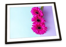Gerbera floral flowers for sale  UK