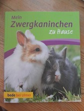 Zwergkaninchen hause gebraucht kaufen  Wölfersheim