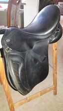 jorge canaves saphir gebraucht kaufen jorge canaves saphir gebraucht kaufen Lauda-Königshofen