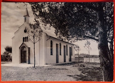 Cartolina marina massa usato Cartolina marina massa usato  Pistoia