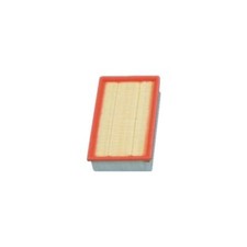 Filtro plissettato piatto usato  Torrita Tiberina