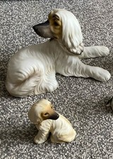 Vintage afghan hound for sale  IPSWICH