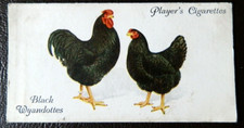 John player sons for sale  DEREHAM