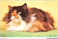Ailp10 0983 chat d'occasion  France