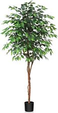 Large artificial ficus for sale  TAUNTON