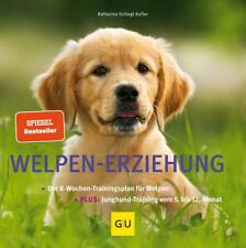 Welpen erziehung wochen gebraucht kaufen  Freisen