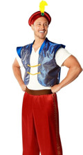 Mens aladdin costume for sale  BRADFORD
