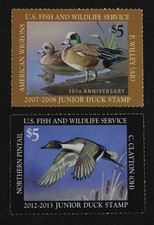 Ckstamps junior duck for sale  Flushing
