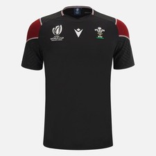 Rugby galles maglia usato  Petriolo