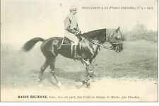 11.horsevaux.supplement cheval d'occasion  Expédié en Belgium