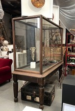 museum display cabinets for sale museum display cabinets for sale HASTINGS