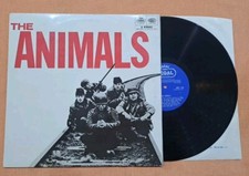 The animals omonimo usato  Roma