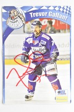 Trevor gallant eishockey gebraucht kaufen  Leonberg