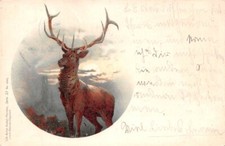 714436 litho tier gebraucht kaufen  Deutschland