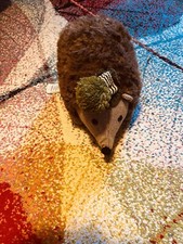 Winter hedgehog door for sale  DERBY