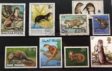 Steckkarte fischotter gebraucht kaufen  Velten