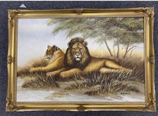 Majestic lion lioness for sale  WALTON-ON-THAMES
