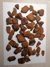 Pezzi chaga raccolti usato  Spedire a Italy