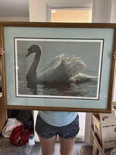 Backlit swan. robert for sale  Las Vegas