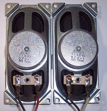 Altoparlanti 10w ohmper usato  Altavilla Irpina