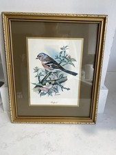 Vintage bird finch for sale  STOCKPORT