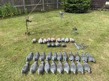 Pigeon decoys plus for sale  KING'S LYNN