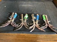 longhorn horns for sale longhorn horns for sale Brandon