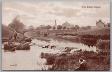 Cupar the eden usato  Spedire a Italy