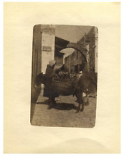 Tunisie âne porteur d'occasion  Pagny-sur-Moselle