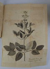 Storck ant. libellus usato  Italia