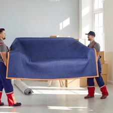Vevor coperte protettive usato  Lonate Pozzolo