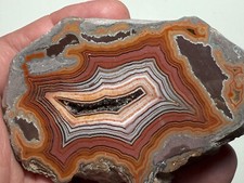 Dryhead agate montana for sale  Marysville