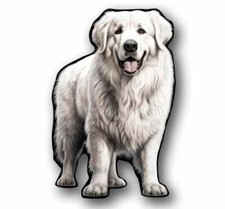 Great pyrenees dog for sale  Grove City