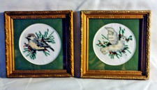 Birds counted cross for sale  Linesville
