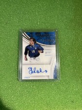 Auto card panini usato  Desenzano del Garda