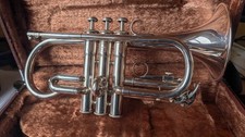 Yamaha ycr 261 gebraucht kaufen  Kerpen