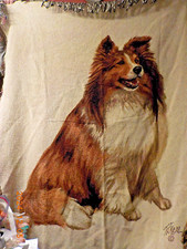 Aplus sheltie woven for sale  Greensburg