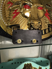 Wwe gürtel wallhanger gebraucht kaufen  Ravensburg